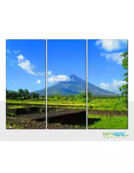 3 PANEL TRIPTYCH
