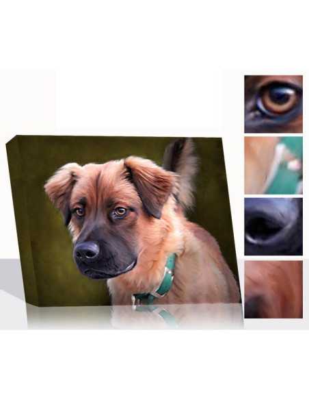 “Custom oil portraits of a dog, featuring close-up views of the dog’s ear, eye, and nose, created from photos to highlight detai