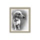 Pet dog pencil canvas artwork with side angle of face