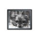 Innocent pet drawn portrait made from close up photo of terrier in pencil illustration style