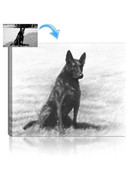 A dog sitting in the grass photo made into a pencil sketch art by artist