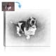 Our Pet sketch artists turned this customers photo a canvas keepsake