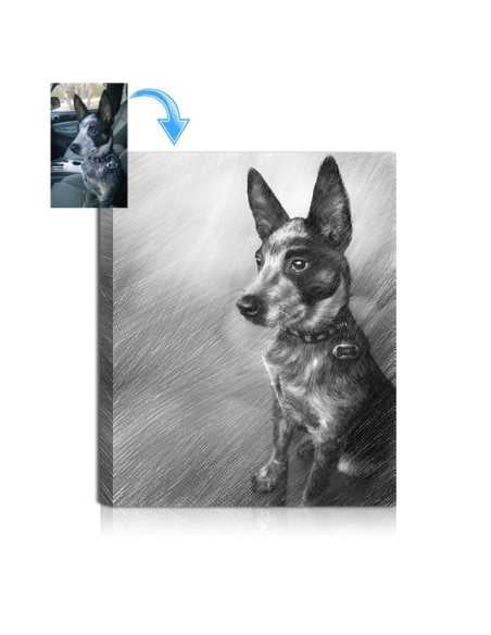 Pencil pet dog portrait with before image shown in upper left corner