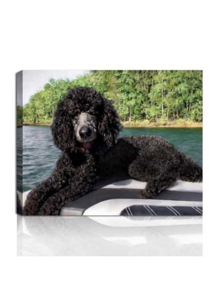 Black Poodle on Boat Oil Portrait: “Custom oil portrait of a black poodle with curly fur lying on the edge of a boat, created fr
