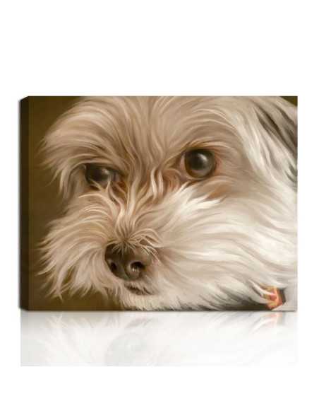 Custom oil portrait of a white fluffy dog with attentive eyes, created from a photo.