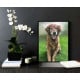 Dog Oil Photo Painting in Black Frame