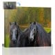 Horse Photo to Painting in Painterly Style