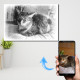 Sketch of Cat on Canvas from photograph