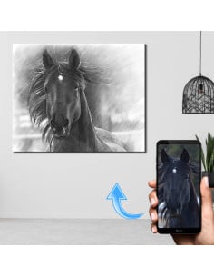 Horse Portrait Sketch