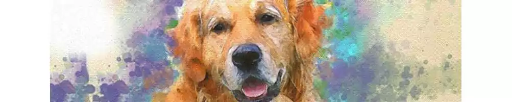 Professional dog canvas art only on Snappy Canvas