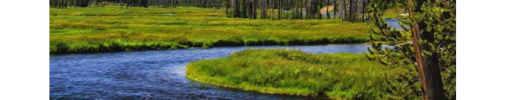 Insanely beautiful nature canvas - Snappy Canvas