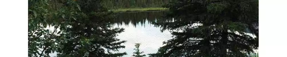 Order photo to canvas online. Photo to canvas Wall Art | Snappy Canvas