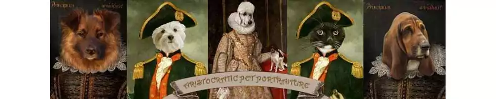 Animal Aristocrat Art