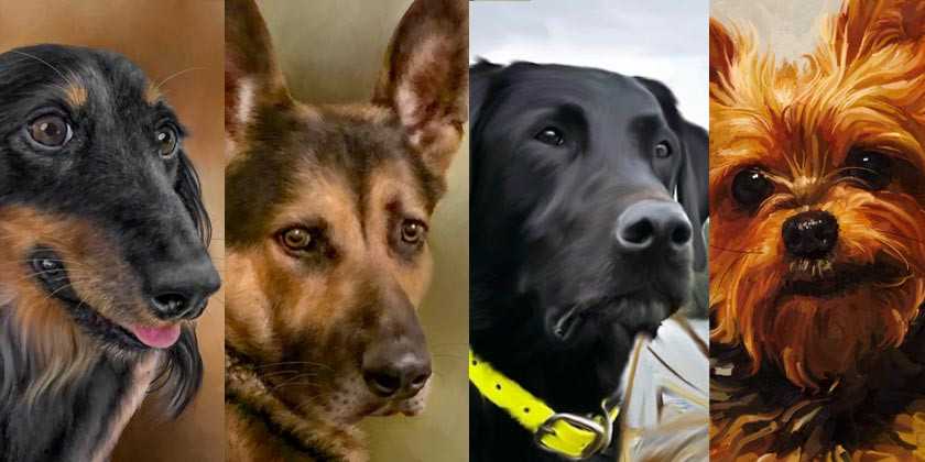 How to Take and Turn Dog Photos into Extraordinary Paintings