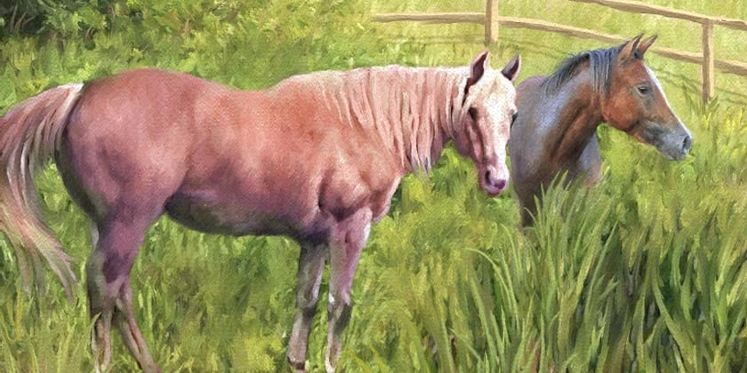  A Useful Guide to the Art of Horse Portraiture