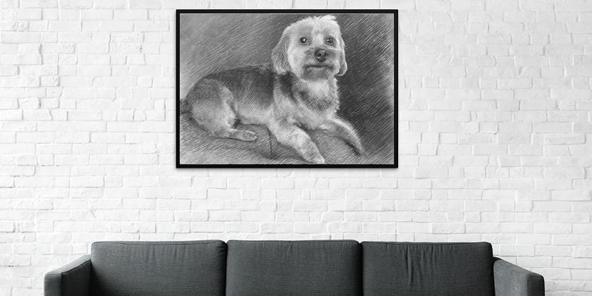 How to turn your pet and animal photos into sketches the easy way